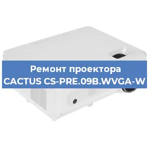 Замена лампы на проекторе CACTUS CS-PRE.09B.WVGA-W в Санкт-Петербурге